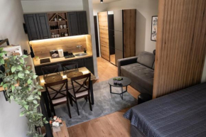 Apartman Aleni - Bela Reka, Brzeće